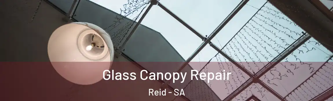 Glass Canopy Repair Reid - SA