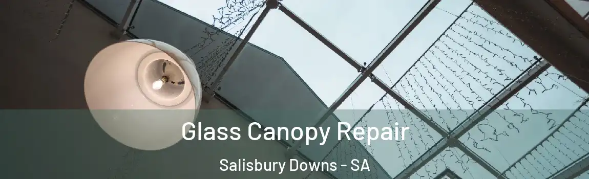  Glass Canopy Repair Salisbury Downs - SA