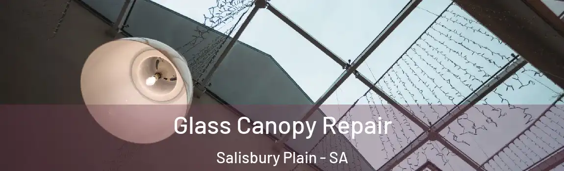 Glass Canopy Repair Salisbury Plain - SA
