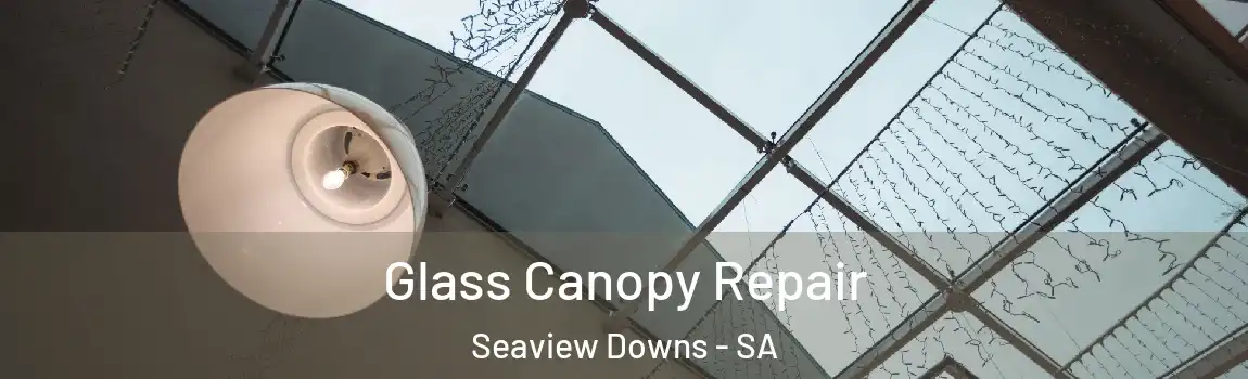 Glass Canopy Repair Seaview Downs - SA