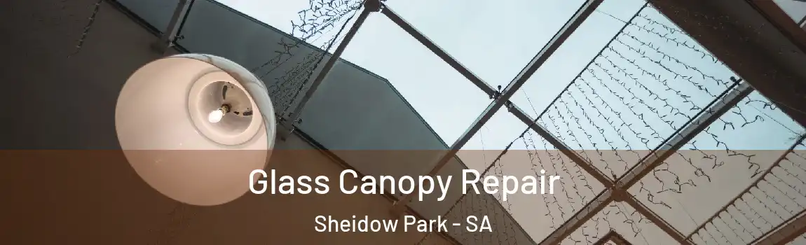 Glass Canopy Repair Sheidow Park - SA