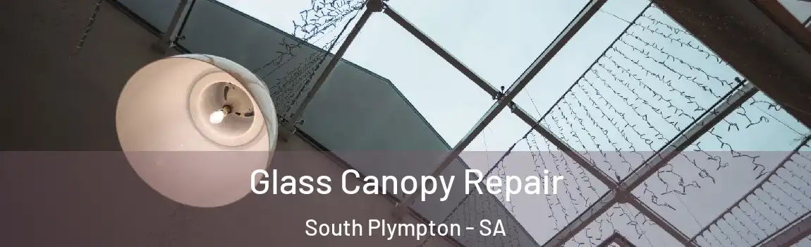  Glass Canopy Repair South Plympton - SA
