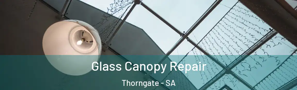 Glass Canopy Repair Thorngate - SA