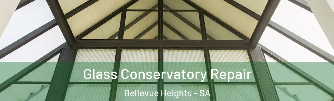 Glass Conservatory Repair Bellevue Heights - SA