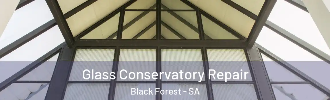 Glass Conservatory Repair Black Forest - SA
