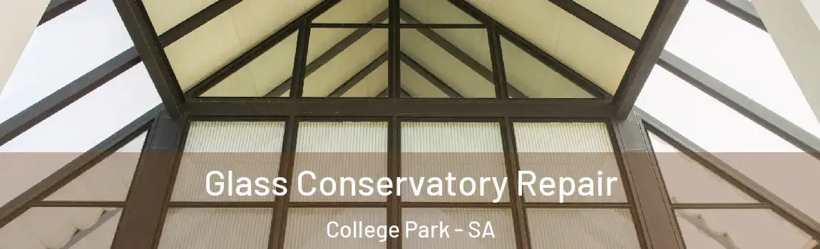 Glass Conservatory Repair College Park - SA