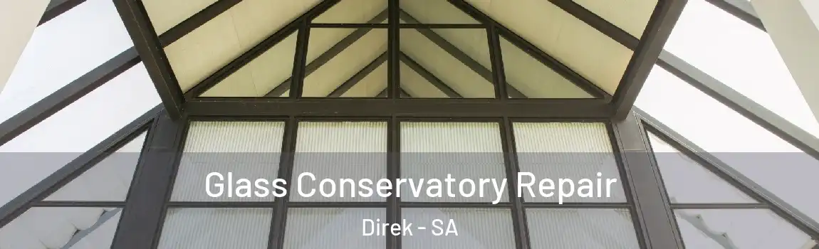 Glass Conservatory Repair Direk - SA