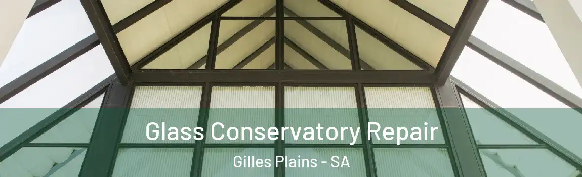 Glass Conservatory Repair Gilles Plains - SA