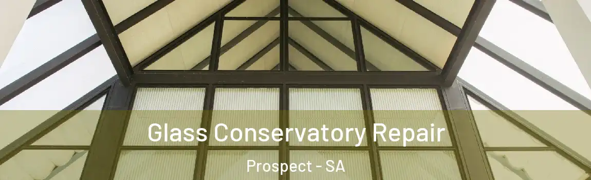 Glass Conservatory Repair Prospect - SA