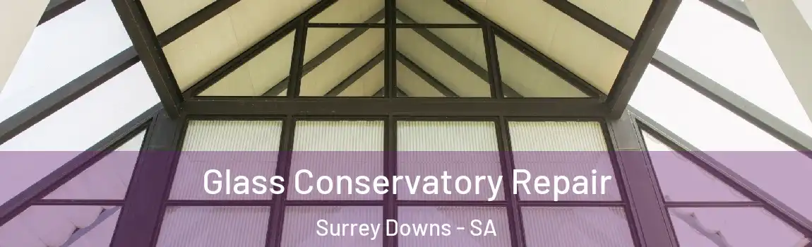 Glass Conservatory Repair Surrey Downs - SA