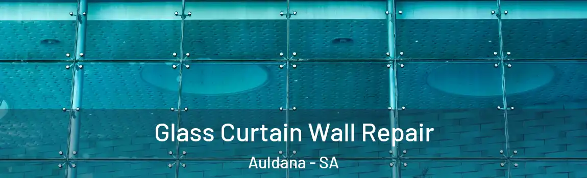 Glass Curtain Wall Repair Auldana - SA