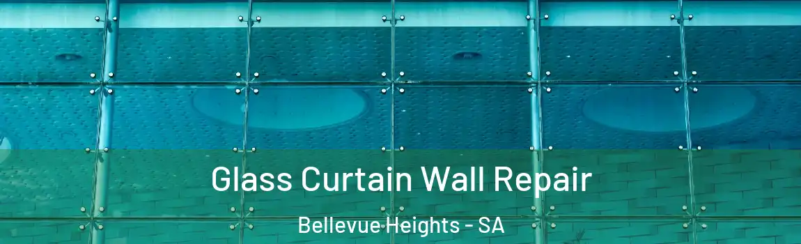 Glass Curtain Wall Repair Bellevue Heights - SA