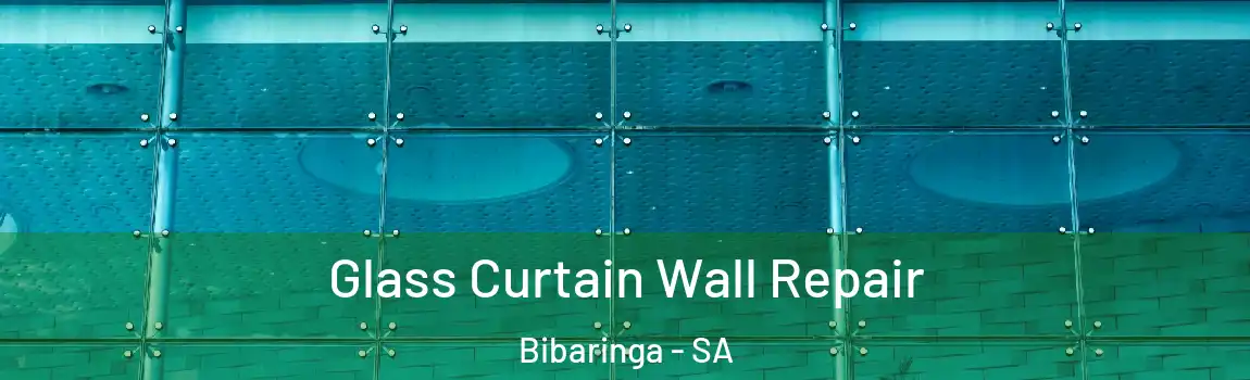 Glass Curtain Wall Repair Bibaringa - SA
