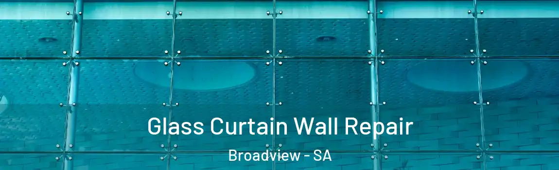 Glass Curtain Wall Repair Broadview - SA