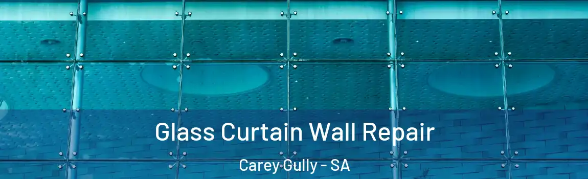 Glass Curtain Wall Repair Carey Gully - SA