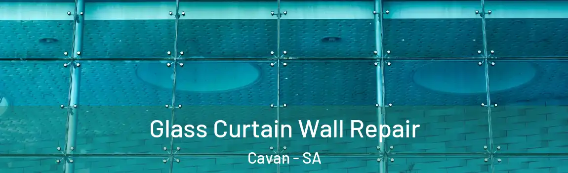 Glass Curtain Wall Repair Cavan - SA
