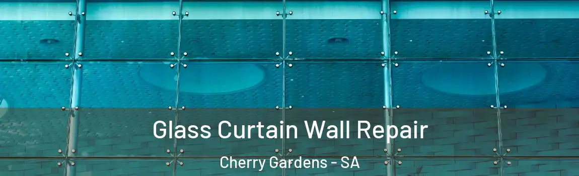 Glass Curtain Wall Repair Cherry Gardens - SA