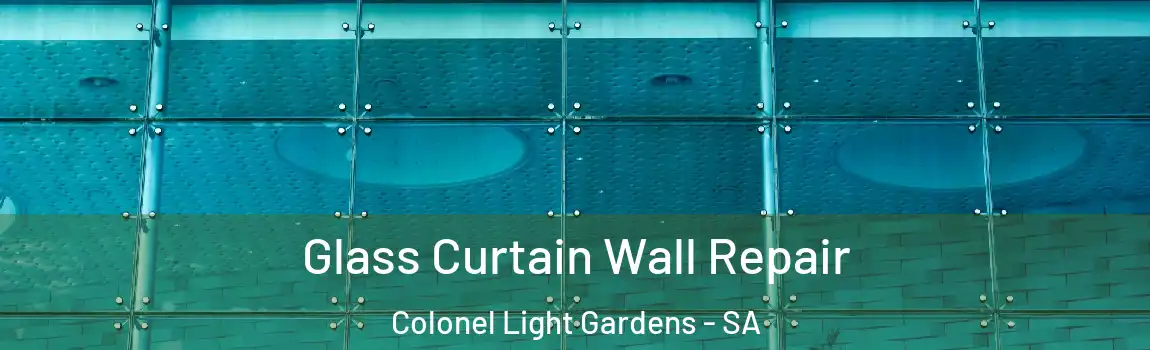  Glass Curtain Wall Repair Colonel Light Gardens - SA