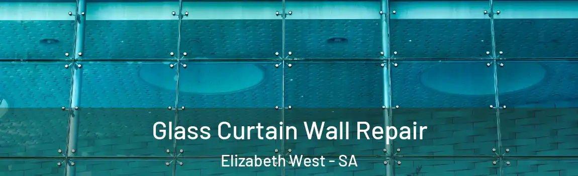 Glass Curtain Wall Repair Elizabeth West - SA