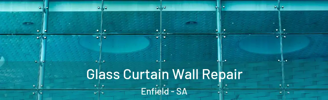 Glass Curtain Wall Repair Enfield - SA