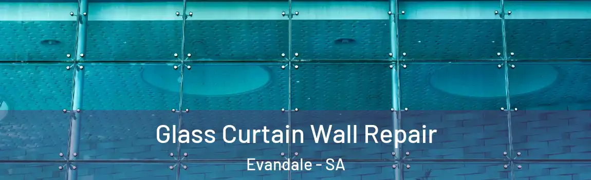  Glass Curtain Wall Repair Evandale - SA