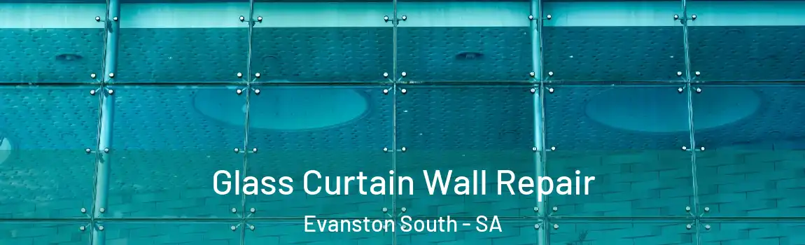 Glass Curtain Wall Repair Evanston South - SA