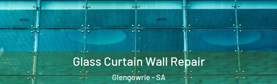 Glass Curtain Wall Repair Glengowrie - SA