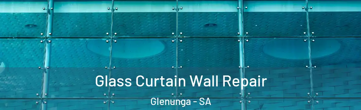  Glass Curtain Wall Repair Glenunga - SA