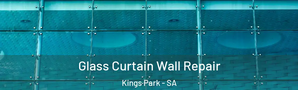 Glass Curtain Wall Repair Kings Park - SA