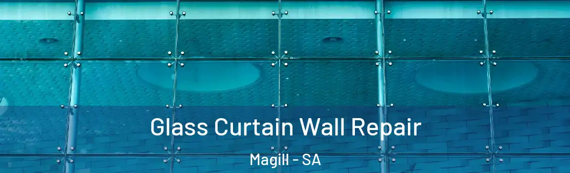 Glass Curtain Wall Repair Magill - SA