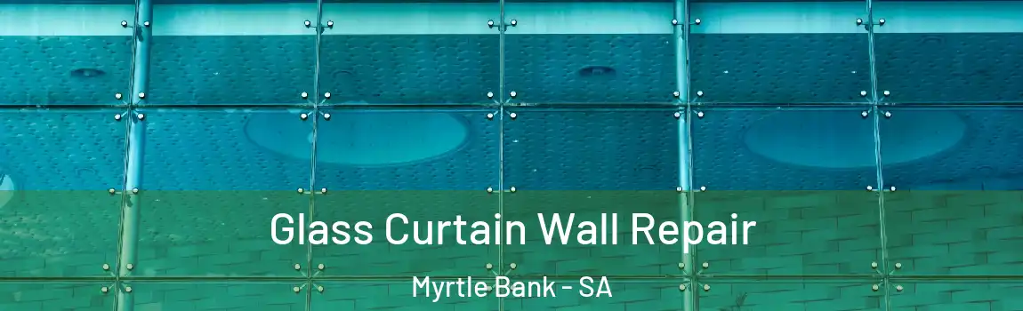 Glass Curtain Wall Repair Myrtle Bank - SA