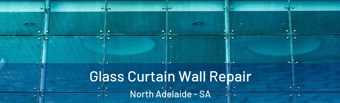 Glass Curtain Wall Repair North Adelaide - SA
