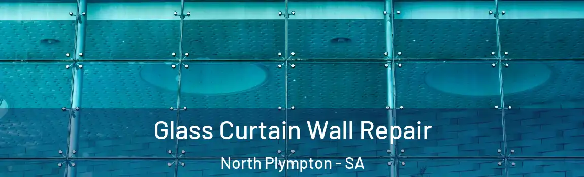 Glass Curtain Wall Repair North Plympton - SA