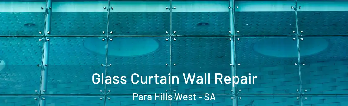 Glass Curtain Wall Repair Para Hills West - SA