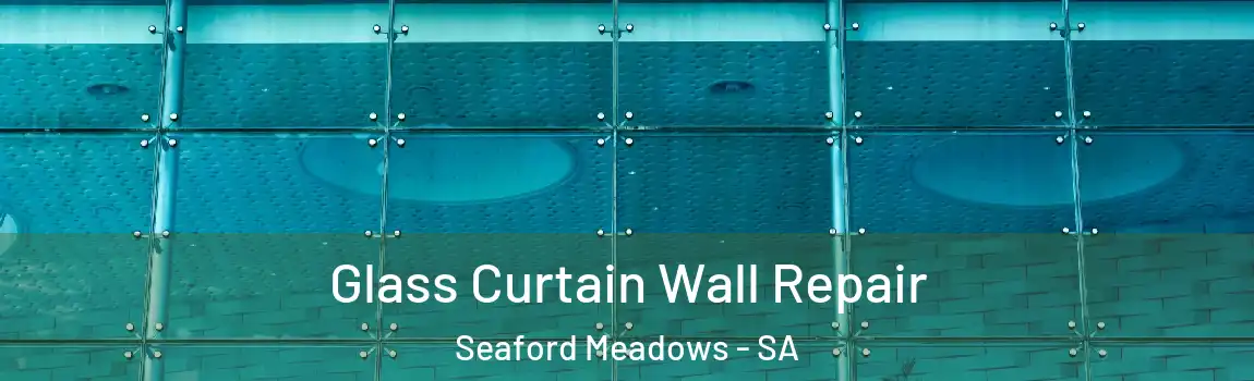 Glass Curtain Wall Repair Seaford Meadows - SA