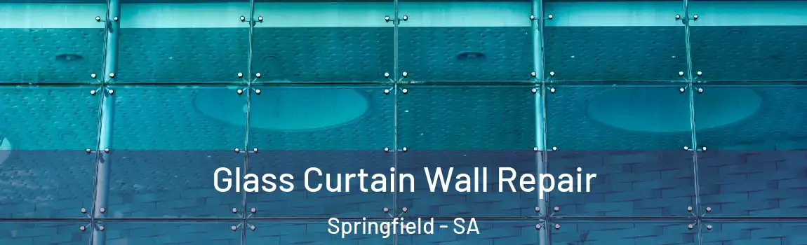 Glass Curtain Wall Repair Springfield - SA