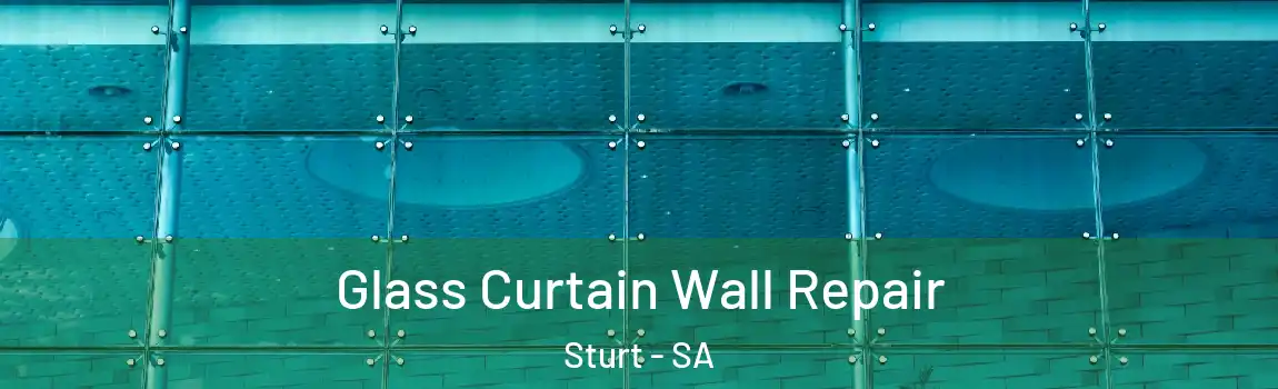 Glass Curtain Wall Repair Sturt - SA