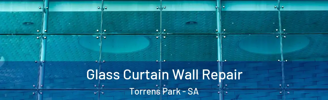 Glass Curtain Wall Repair Torrens Park - SA