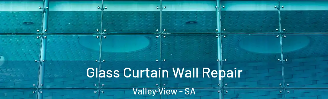  Glass Curtain Wall Repair Valley View - SA