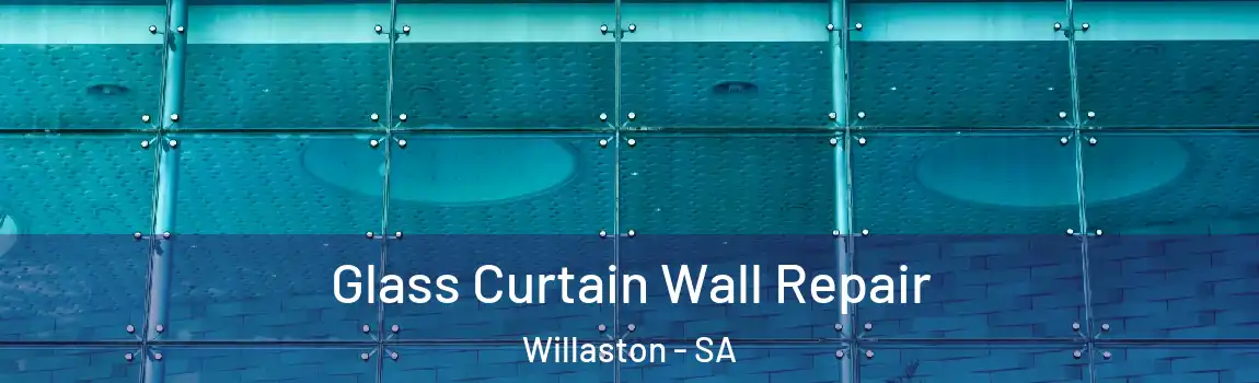 Glass Curtain Wall Repair Willaston - SA
