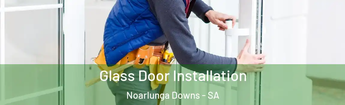  Glass Door Installation Noarlunga Downs - SA