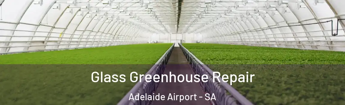  Glass Greenhouse Repair Adelaide Airport - SA