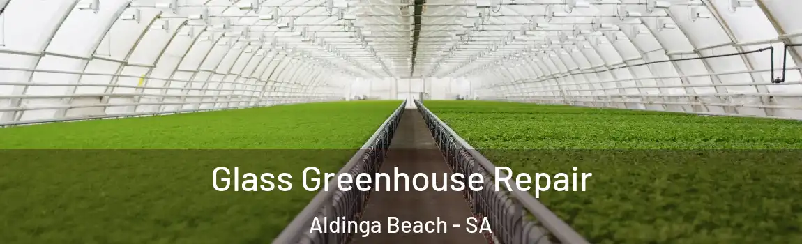 Glass Greenhouse Repair Aldinga Beach - SA