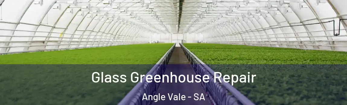 Glass Greenhouse Repair Angle Vale - SA