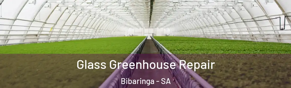 Glass Greenhouse Repair Bibaringa - SA