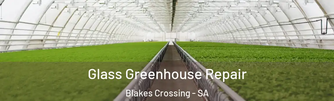 Glass Greenhouse Repair Blakes Crossing - SA