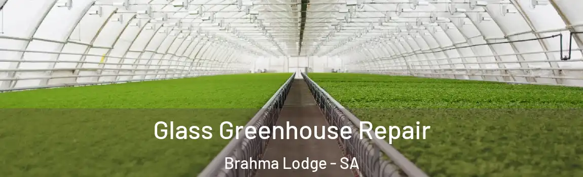 Glass Greenhouse Repair Brahma Lodge - SA