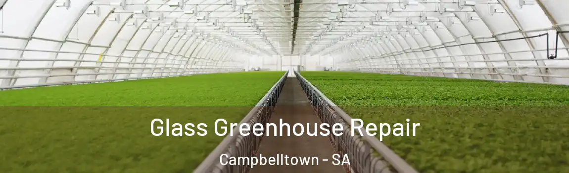 Glass Greenhouse Repair Campbelltown - SA