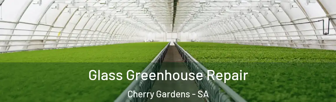 Glass Greenhouse Repair Cherry Gardens - SA