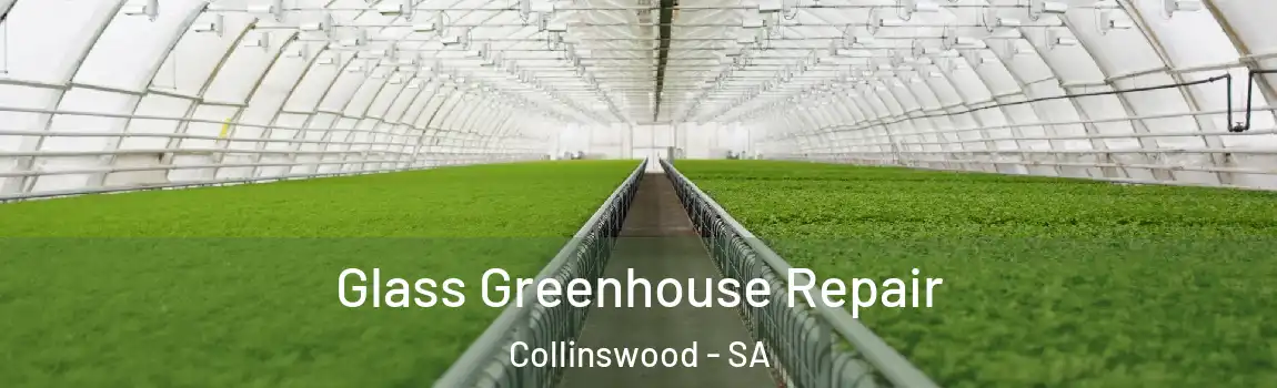  Glass Greenhouse Repair Collinswood - SA